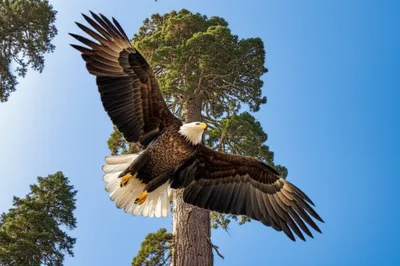 Illustration towering - Image 1