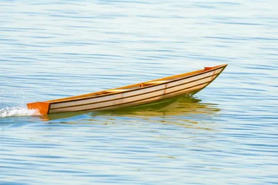 Illustration shell - Image 1