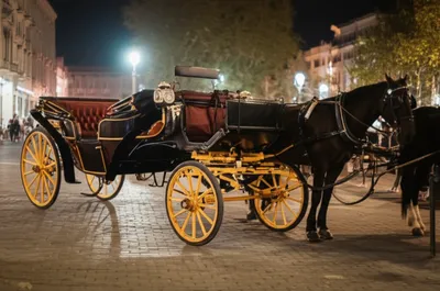 Illustration fly - Image 1