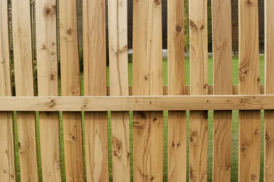 Illustration paling - Image 1