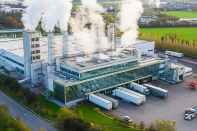 Illustration plants - Image 1