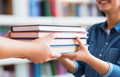 Hình ảnh minh họa loaned - Ảnh 1