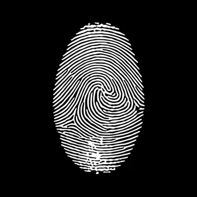 Illustration personal - Image 1