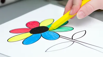 Illustration colouring