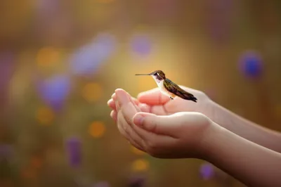 Illustration jewel - Image 1