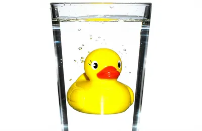 Illustration submerged - Image 1