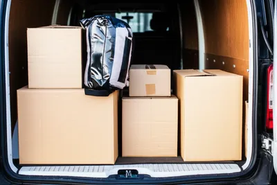 Illustration loaded - Image 1