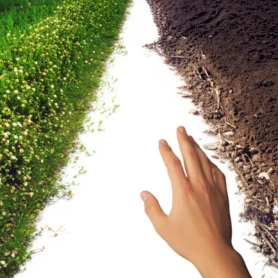 Illustration mistake - Image 1