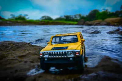 Illustration hummer - Image 2