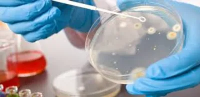 Illustration microbiology - Image 2