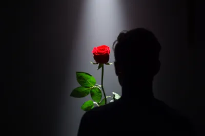 Illustration fixations - Image 1