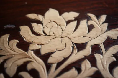 Illustration boxwood - Image 1