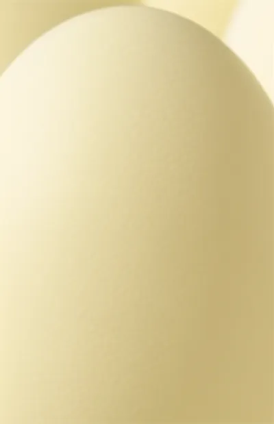 Illustration eggshell - Image 1