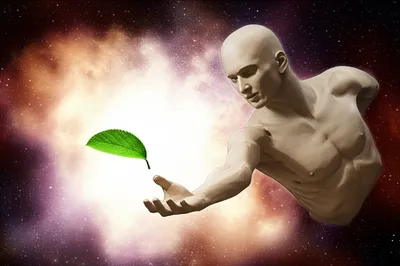 Illustration protoplast - Image 1