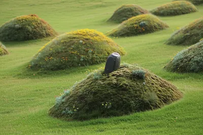 Illustration burrows - Image 1