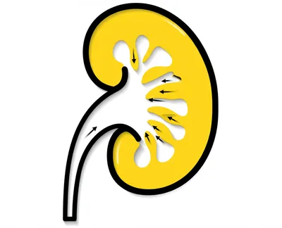 Illustration piss - Image 1