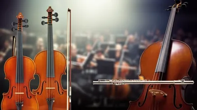 Illustration concertino - Image 1