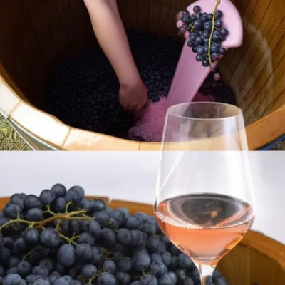 Illustration blushes - Image 1