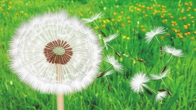 Illustration viral - Image 1