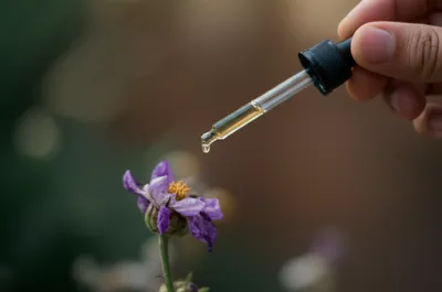 Illustration instil - Image 1