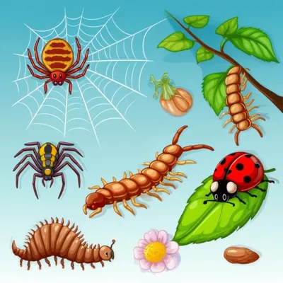 Illustration insects - Image 1