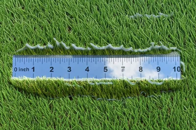 Illustration digits - Image 1