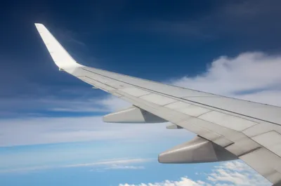 Illustration aileron - Image 1