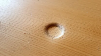 Illustration rosebuds - Image 1