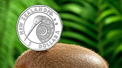 Illustration kiwis - Image 1