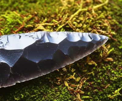 Illustration edged - Image 1