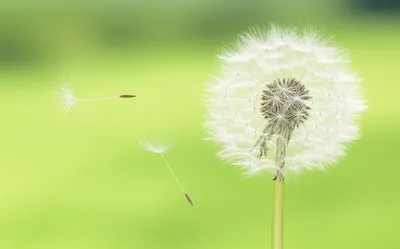 Illustration drift - Image 1