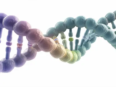 Illustration silent - Image 1