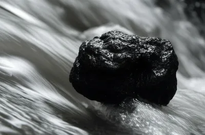 Illustration slug - Image 1