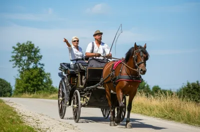 Illustration coaching - Image 1