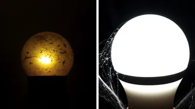 Illustration duller - Image 1