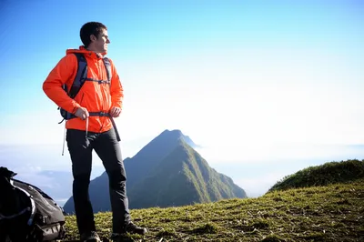 Illustration gird - Image 1