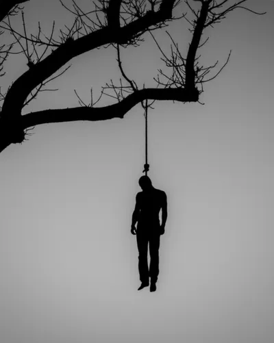 Illustration trine - Image 1