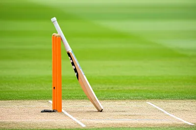 Hình ảnh minh họa declaration - Ảnh 1