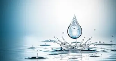 Illustration drop - Image 2