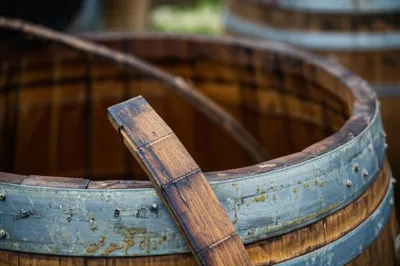 Illustration lag - Image 1