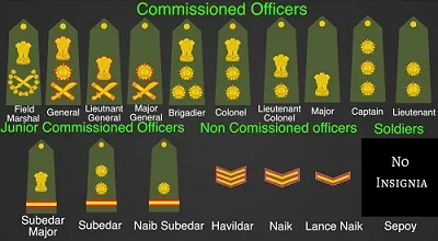 Illustration rank - Image 2