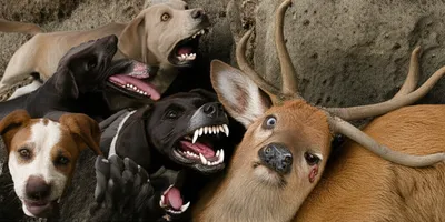 Illustration bays - Image 1