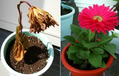 Illustration slumped - Image 1