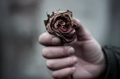 Illustration hurts - Image 1