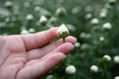 Illustration evoke - Image 1