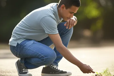 Illustration humble - Image 1