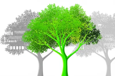 Illustration trunk - Image 1