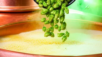 Illustration hopping - Image 1