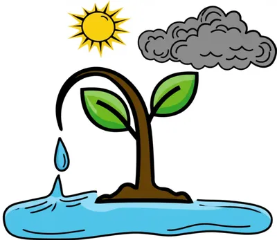 Illustration exposure - Image 1