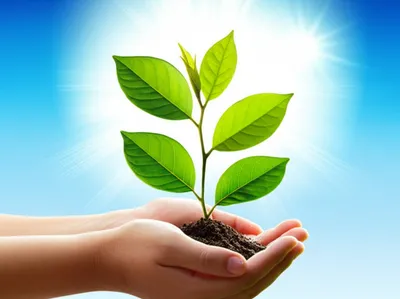 Illustration hygiene - Image 1